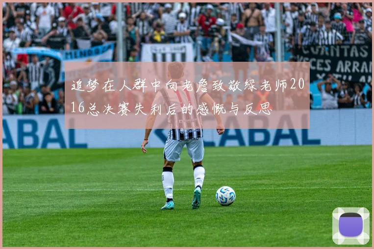 追梦在人群中向老詹致敬绿老师2016总决赛失利后的感慨与反思