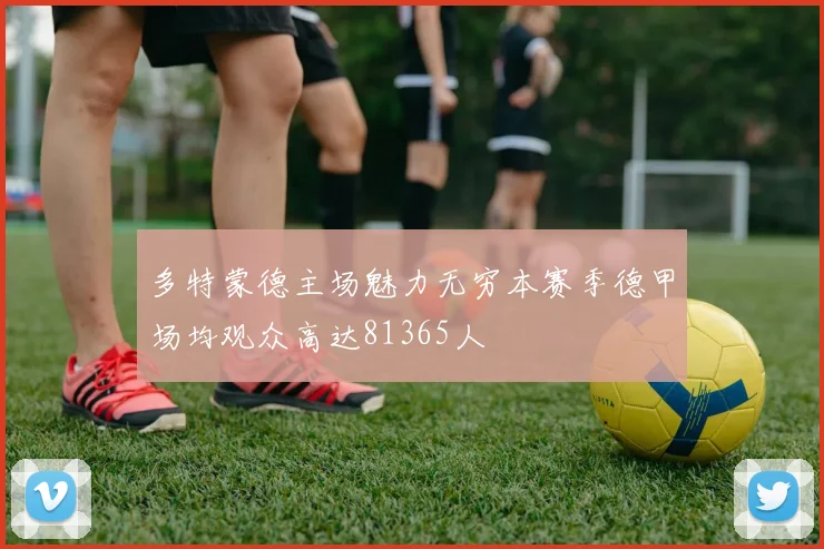 多特蒙德主场魅力无穷本赛季德甲场均观众高达81365人