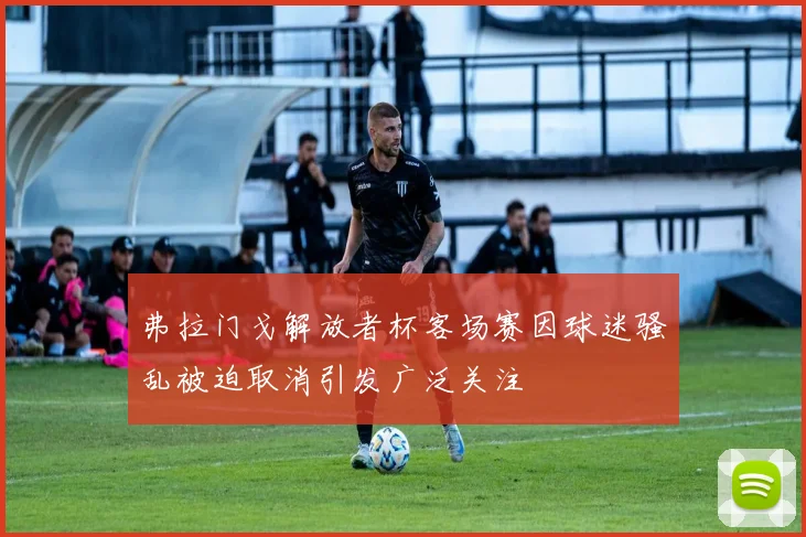 弗拉门戈解放者杯客场赛因球迷骚乱被迫取消引发广泛关注